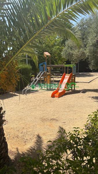 Foto 1ac90b86-2aaa-47b3-ac46-9bfb545fbd74. Alquiler local comercial  en alquiler en Olías del Rey