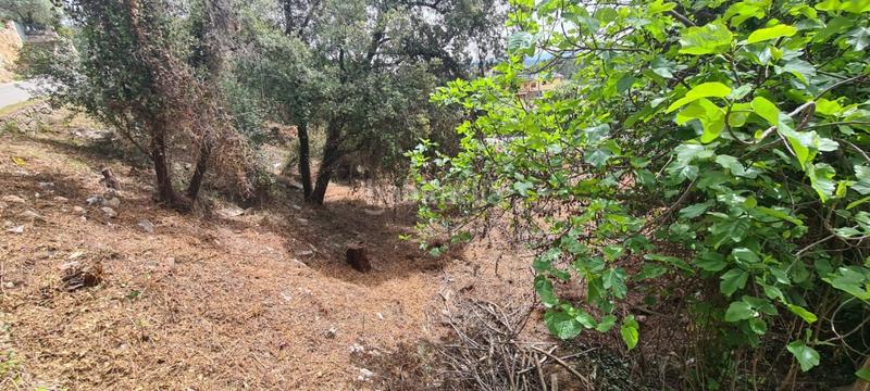 Foto 7f81bcc6-f11f-430e-aceb-43ff818c10dc. Terrain résidentiel dans El Racó-Sant Feliu del Racó Castellar del Vallès