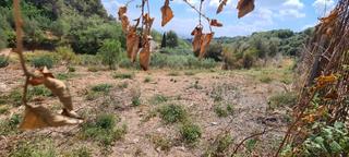 Residential Plot in Eixample - Can Bogunyà. Terreny en venda