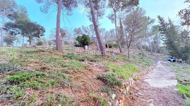 Foto 0714af93-a222-4de0-814b-1174968334c1. Finca rústica a Sentmenat