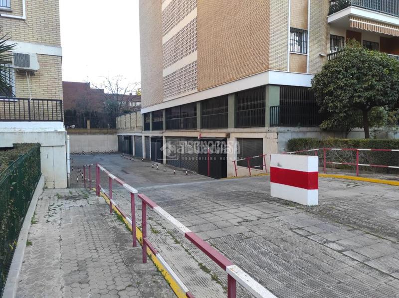 Foto cb1a93f9-27ca-43aa-bd1b-f8da3d0fa3c3. Aparcament cotxe a El Plantinar - Avda. La Paz - El Juncal Sevilla