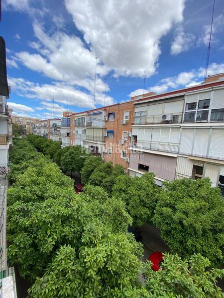 Foto d5fa493c-bb58-4747-a166-2d186c6e2e6d. Aparcament cotxe a El Plantinar - Avda. La Paz - El Juncal Sevilla