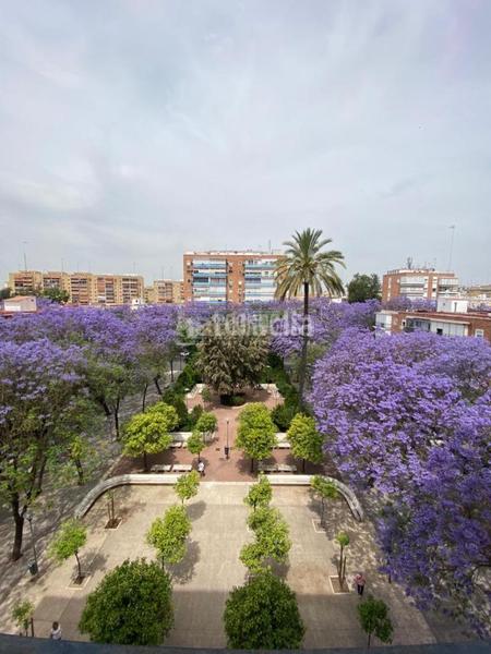 Foto e0138ad2-9642-45e6-9403-377a0a2ef7b0. Aparcament cotxe a El Plantinar - Avda. La Paz - El Juncal Sevilla