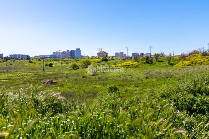 Foto 8bc4e3d4-67aa-4724-913b-91ea58a1f394. Terreny residencial a Tres Olivos-Valverde Madrid