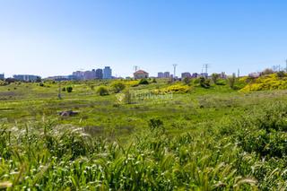 Terreno residenziale in Tres Olivos-Valverde. Terrenos en venta en madrid