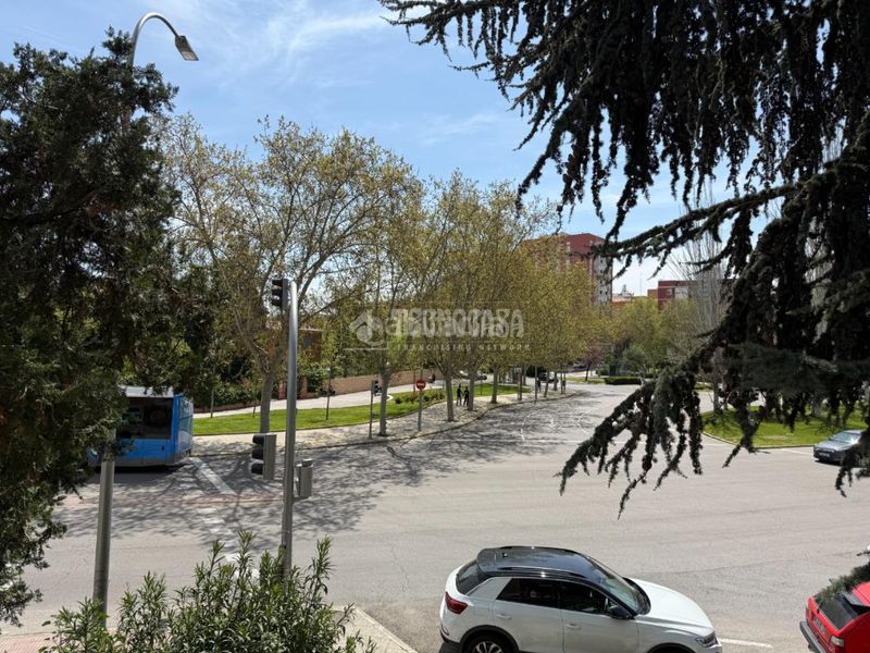 Foto 3f31d446-7e6b-484e-8d91-4c821f66bd20. Local comercial a Pinar del Rey Madrid