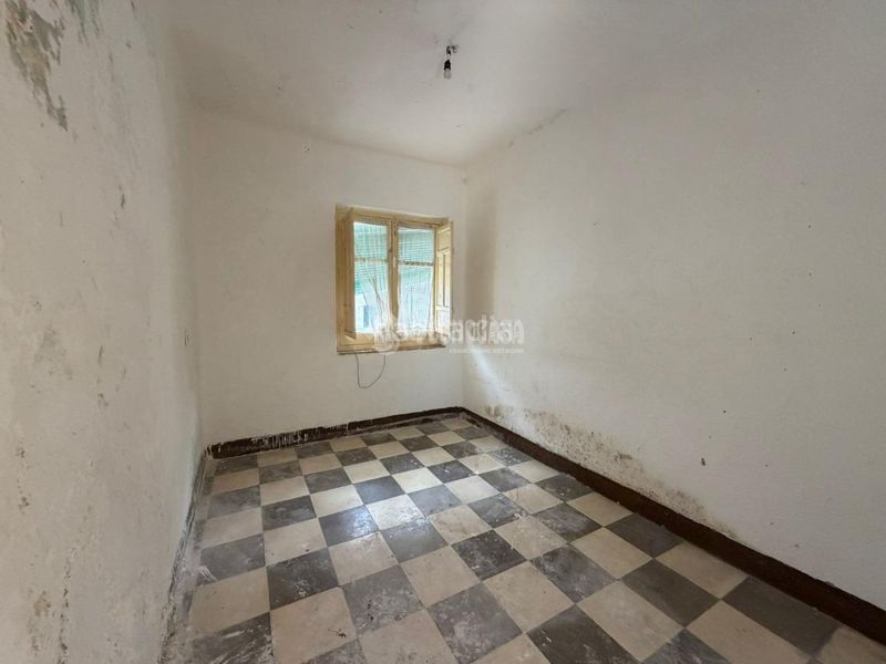 Foto 0fdbae1d-7254-49c9-b66c-033ff26fbd43. Pis a Barrio de Zaidín Granada