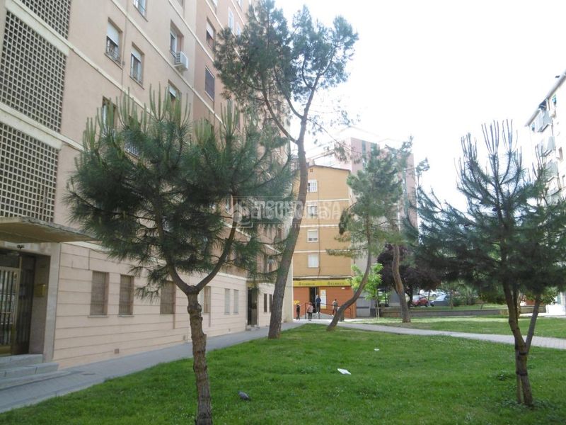 Foto 4f8fcbbb-b6b2-4847-a366-9c7c926822f0. Pis a Zofío Madrid