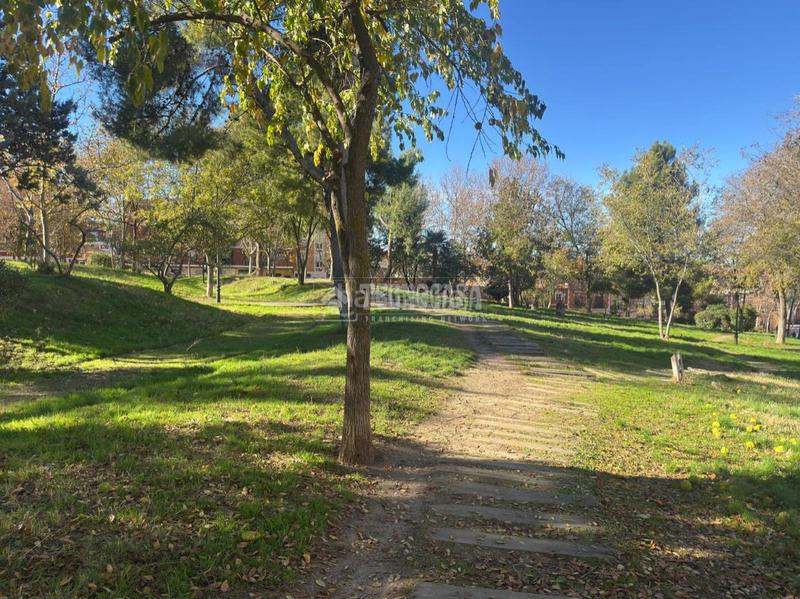 Foto 7c4c9363-1a28-45b1-8017-f7d7a0728579. Pis a nuevo Aranjuez-ciudad de las artes Aranjuez