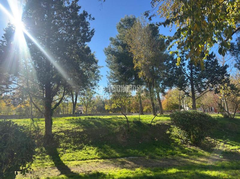 Foto 96fd18b6-1709-4bf6-9285-23a0422f520d. Pis a nuevo Aranjuez-ciudad de las artes Aranjuez