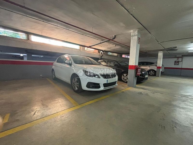 Foto 101f1b8c-74fa-4fec-ac80-a2b368f322b5. Pis a Casar (El)