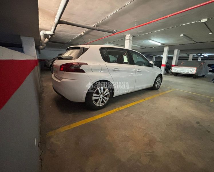 Foto c5c984bb-93d6-44a1-acb1-b38a0bd9e554. Pis a Casar (El)