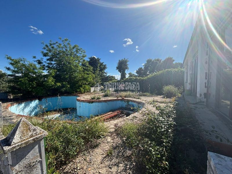Foto 181d1339-8a93-4228-97fe-4e4647d46bb6. Casa amb piscina a Casar (El)