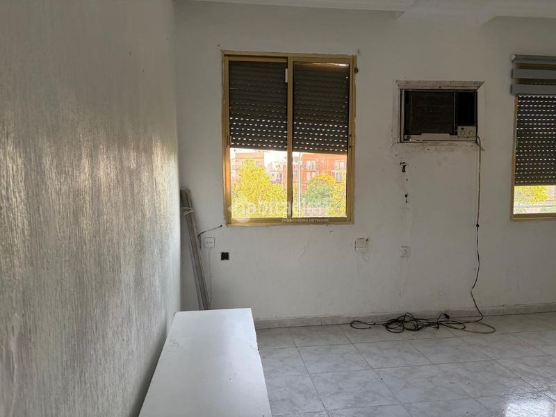 Foto 488f489e-0432-4197-8ea1-ba629132f93b. Pis a Amate Sevilla