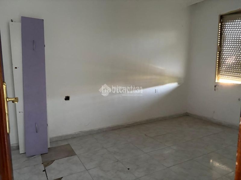 Foto 9ab5bcce-14e9-4f5b-96c5-d1812da82419. Pis a Amate Sevilla