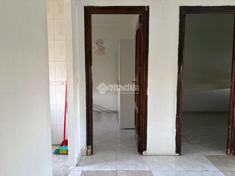 Foto f00c0aec-b536-4ff0-8769-efd43061a014. Pis a Amate Sevilla