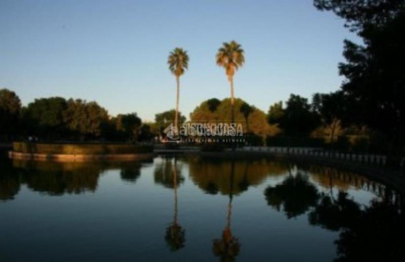 Foto 513801ff-acd0-4bca-b64a-0da5bd849d77. Appartement avec chauffage dans Amate Sevilla