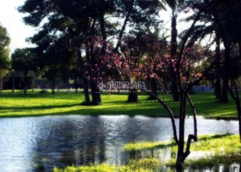 Foto a6e41323-43ba-4e49-84bf-162d864aab10. Appartement avec chauffage dans Amate Sevilla