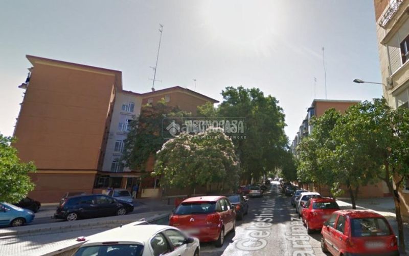 Foto 2f099006-6148-466e-a2f8-2fcff4f88439. Pis a Los Pájaros Sevilla