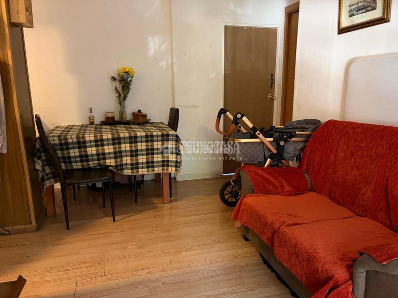 Foto 956f9dd4-bc0e-42d6-9a96-49bef11f5cf7. Pis a Los Pájaros Sevilla