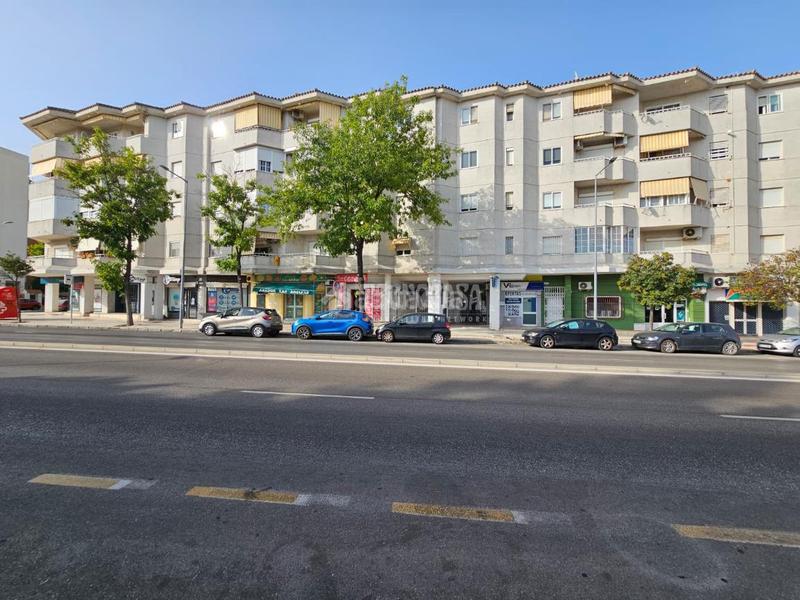 Foto cc8cdeb6-2c82-47e1-8efa-9758f649fd74. Pis a El Altillo Jerez de la Frontera