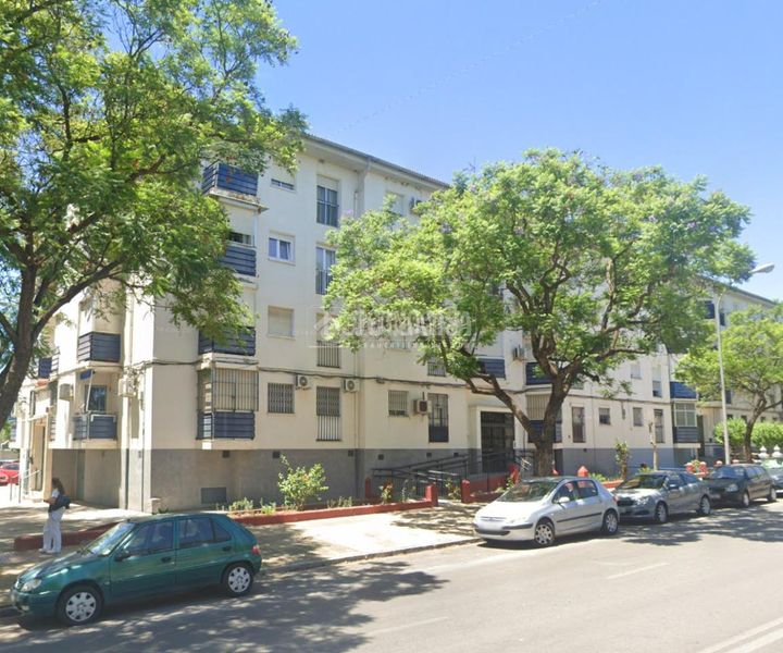 Foto 404aa536-e5c3-49f5-b217-25f707c2c495. Pis a La Plata Jerez de la Frontera