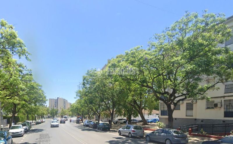 Foto c1b5b00e-18cc-4408-8a31-803a8968ac37. Pis a La Plata Jerez de la Frontera