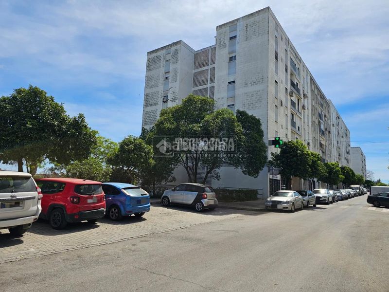 Foto d2999239-1571-4457-ac29-0f69abaf19d5. Pis a Vallesequillo Jerez de la Frontera