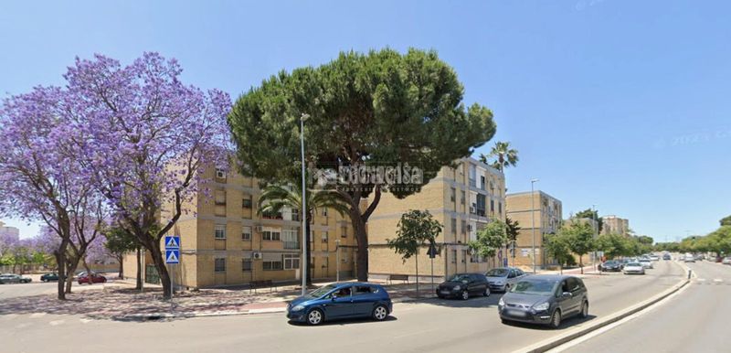 Foto 0252a498-133e-4e39-ac55-3268c9422517. Pis a La Plata Jerez de la Frontera