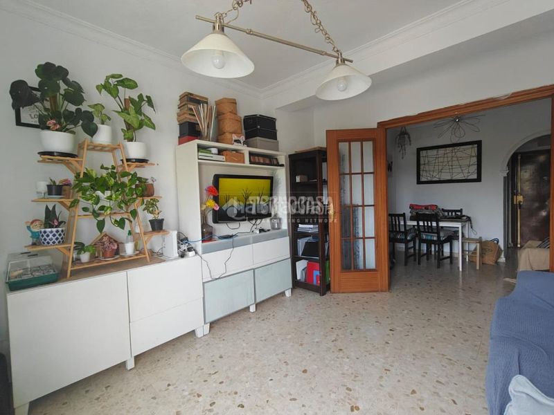 Foto 703caa9c-ad75-437a-b8a5-e994162b2caf. Pis a La Plata Jerez de la Frontera