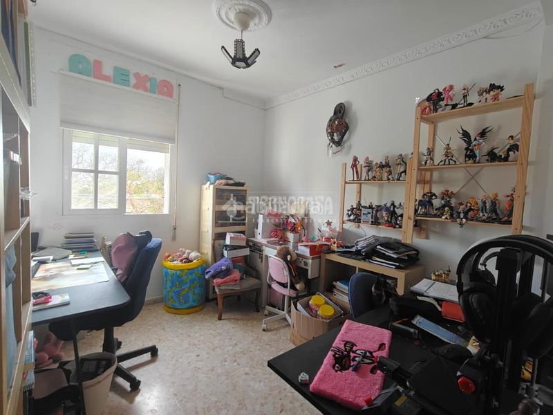 Foto 73524269-275e-46be-a767-7cbdd438068a. Pis a La Plata Jerez de la Frontera