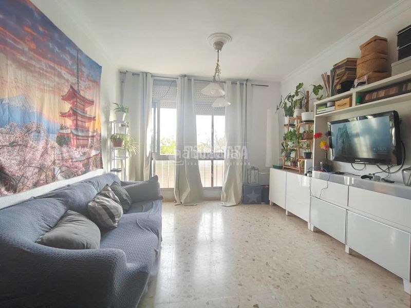 Foto f2d3abd3-893c-4f8d-9542-975cb422596c. Pis a La Plata Jerez de la Frontera