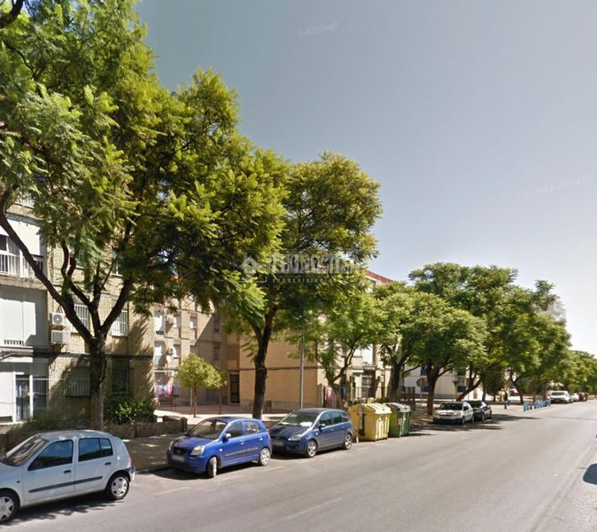 Foto cf06dc59-5fad-4074-8d6c-ed6bd2cc467f. Pis a La Plata Jerez de la Frontera