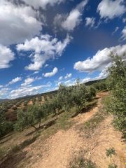 Finca rústica a Calicasas