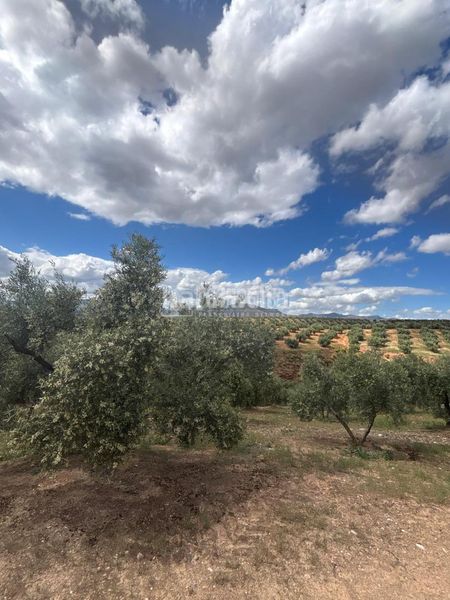 Foto 6d5a93a3-3118-4b6b-b7f7-39f9936b877f. Finca rústica a Calicasas