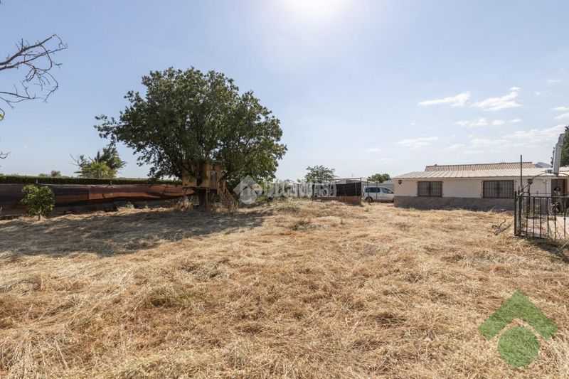 Foto 0231464f-1da3-4793-b88c-b2eaa615675f. Masia a Albolote