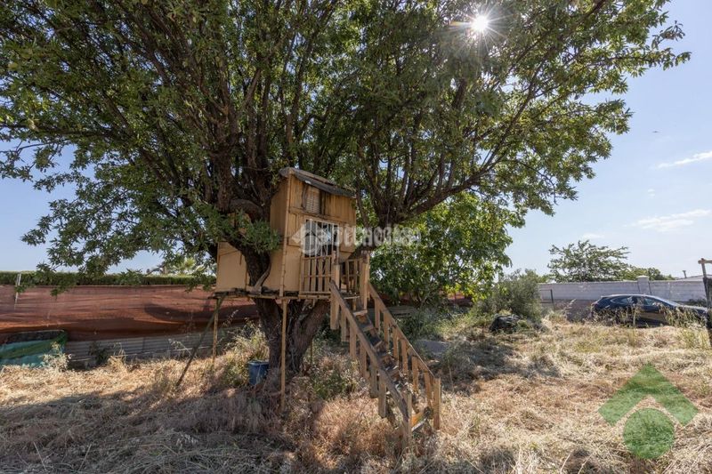 Foto e2d2f417-b0cb-48f0-8a4a-4e9deed3fbd6. Masia a Albolote
