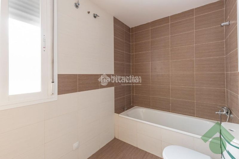 Foto e8366dea-b823-499b-9c58-626dcbcb9204. Pis a Colomera