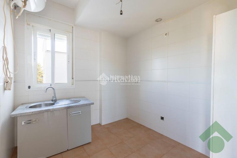 Foto c44b52bd-85be-4648-b02d-63ae9aa73369. Pis a Colomera