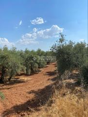 Terreny residencial a Albolote. Terrenos en venta en albolote