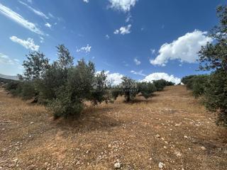 Propriété à Gor. Terrenos en venta en calicasas