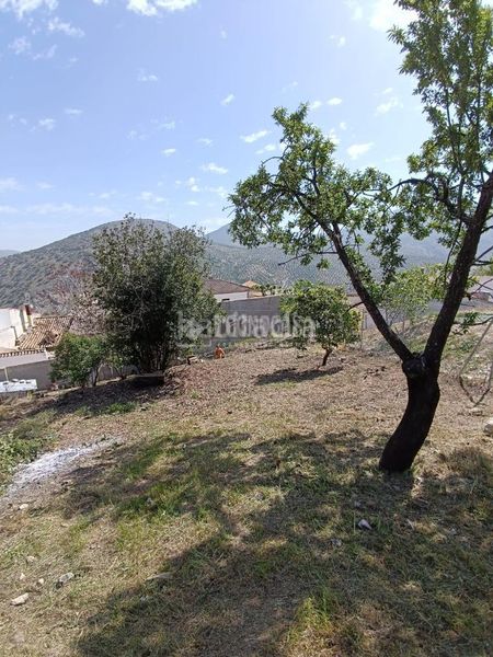 Foto 07c81ce4-b3c4-49eb-a499-50f10e8a2f22. Terreny residencial a Colomera