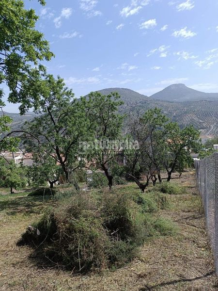Foto a1c4b61d-f087-4246-b696-437bcb509f0c. Terreny residencial a Colomera