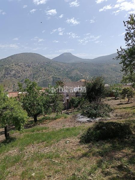 Foto b227285d-6912-4c55-9847-9117c59cb5b0. Terreny residencial a Colomera
