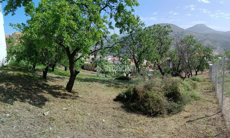 Foto fc6a5778-6464-489f-8925-64c886d9e0d7. Terreny residencial a Colomera