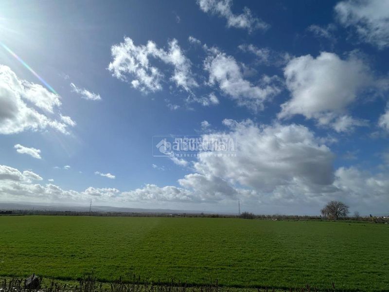 Foto 7c2704a5-5e50-49e4-9547-374c3ea78d29. Masia a Albolote