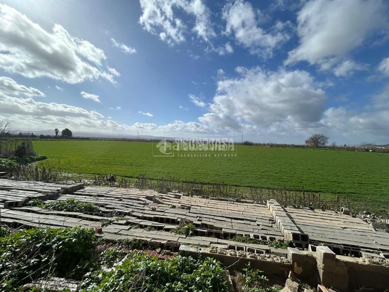 Foto cfcd28b1-0ffb-4443-9dd1-4692eac12bad. Masia a Albolote