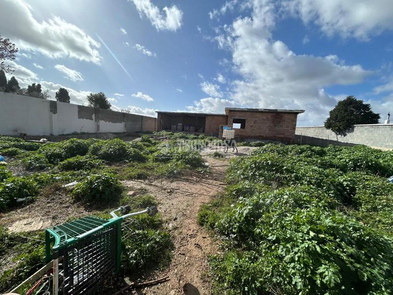 Foto ebdb9fe2-5317-4b82-844c-10ecb294a6de. Masia a Albolote