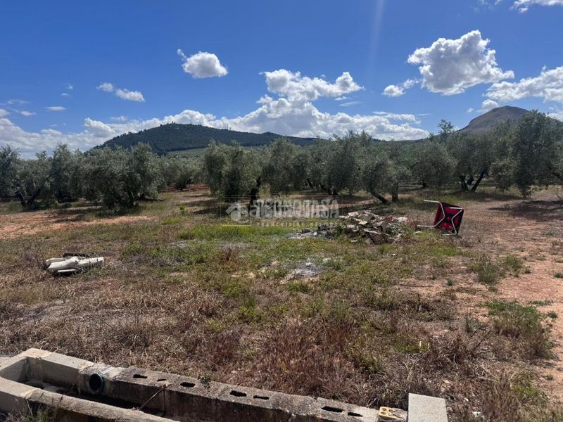 Foto cfe9a322-44c4-4d26-8564-2e394e7e9742. Finca rústica a Albolote