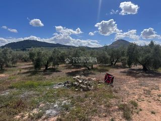 Fondo rustico in Albolote. Terrenos en venta en albolote